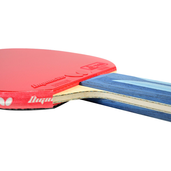 Butterfly Timo Boll ALC Pro-Line Racket + Dignics 09C + Dignics 09C: Close-up of wood plies